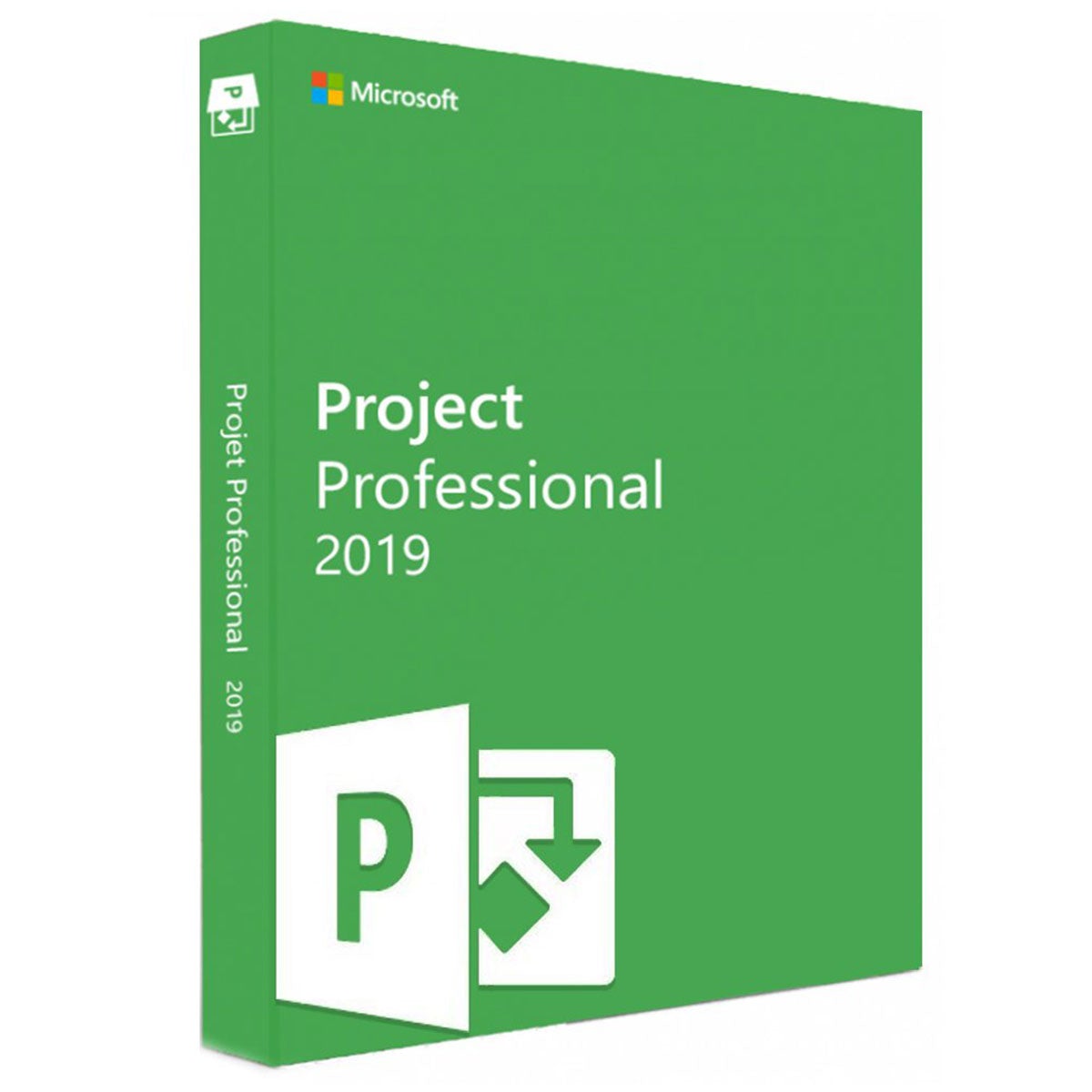 Project Professional 2019