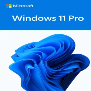Windows 11 Pro –    1 PC   | Instant Delivery & Lifetime License